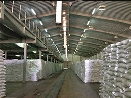 Sugar warehouse with stacked bags